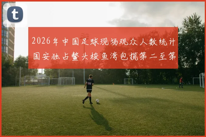 2026年中国足球现场观众人数统计国安独占鳌头梭鱼湾包揽第二至第七位