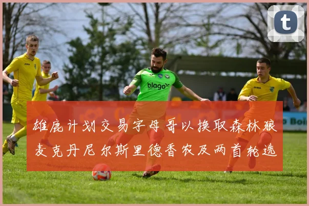 雄鹿计划交易字母哥以换取森林狼麦克丹尼尔斯里德香农及两首轮选秀权