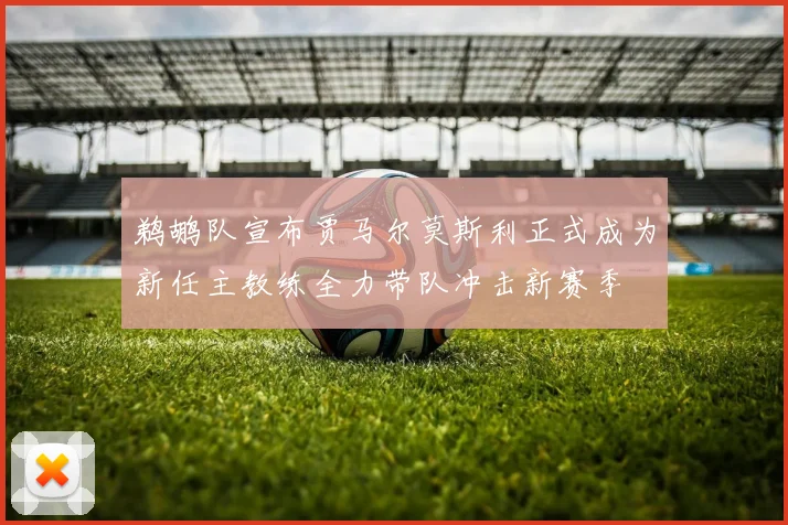 鹈鹕队宣布贾马尔莫斯利正式成为新任主教练全力带队冲击新赛季